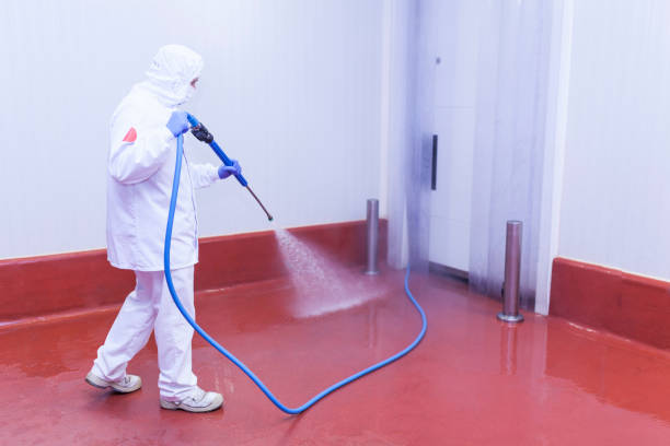 Best Restaurant Pressure Washing  in Romney, WV