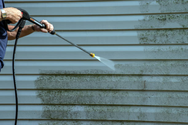 Best Roof Washing  in Romney, WV